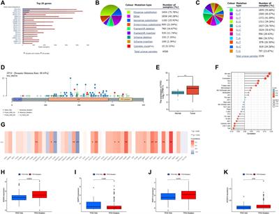 Frontiers Identification Of NAD Metabolism Derived Gene Signatures